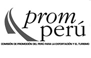 logo_prom-pe
